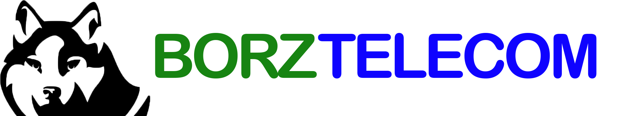 BorzTelecom